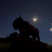 Ralphie statue silhouetted by an eclipsed sun