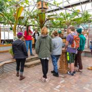 Student Eco Rep gives a tour of a greenhouse on campus