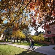 students walking on campus with fall foliage