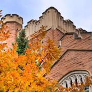 Autumn trees on display at CU Boulder