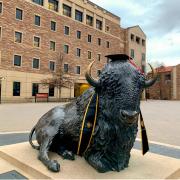 The Buffalo statue in graduation regalia