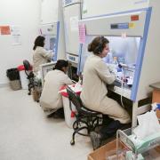 The Cell Culture Facility in the Jennie Smoley Caruthers Biotech Building