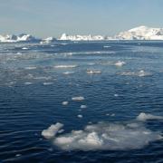 greenland sea ice cover