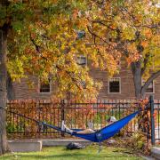 Person lounging in a hammock outside on campus