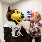 Chip the buffalo mascot getting checked out at the student health center