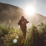 person walking in wilderness