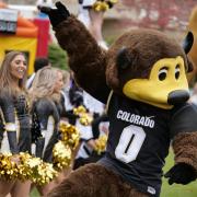 Chip and the spirit squad entertaining during Homecoming Weekend