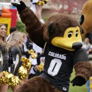 Chip and the Pom Squad entertain tailgaters during Homecoming Weekend 