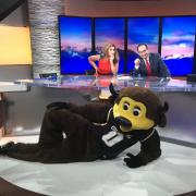 Chip helps promote College Friday on the set of 9News, a day supporting higher education in Colorado. Photo from the Colorado Department of Higher Education.