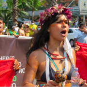 Indigenous women's movement 