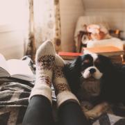Person wearing cozy winter socks with a dog laying next to her