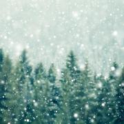 Tree tops and snow through a frosted window