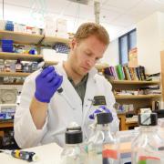 Postdoctoral student Jens Schmidt works in lab