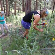 Community college students setting up to take measurements on Bald Mountain in July 2015