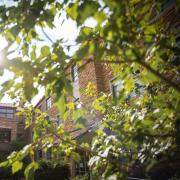 A scenic shot of the CU Boulder campus