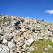 Researchers at the Mountain Research Station