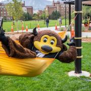 Mascot Chip lounging on a hammock