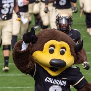 Mascot Chip storms the field with CU football players