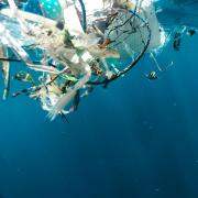 Plastic waste in the ocean