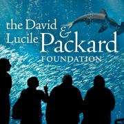 The David & Lucile Packard Foundation; image of onlookers at aquarium with hammerhead shark swimming above