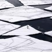 Penguin on ice in Antarctica