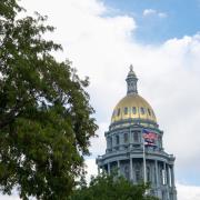 Dome of Colorado State Capitol Building with tree in the foreground