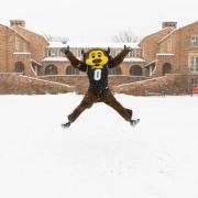 Chip jumping in the snow