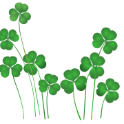  Clover leaves graphic