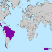 Map highlighting Zika virus-affected areas in Mexico, the Caribbean and Central and South America 