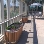 Gardens on SEEC atrium