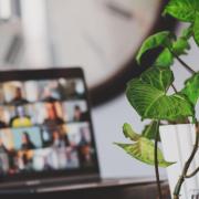 a virtual meeting on a laptop screen with a plant in the foreground