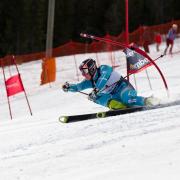 Skiier races slalom