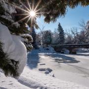 Snowy campus