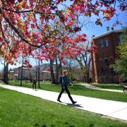 Students walk across campus