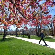 Student walking on campus on a spring day