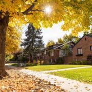 Residential neighborhood in Boulder