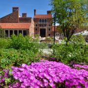 Flower bed near the UMC