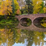 Pond under Varsity Bridge