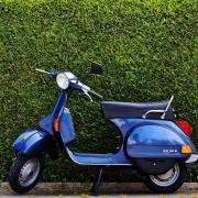 Blue Vespa scooter parked in front of tall, green bushes