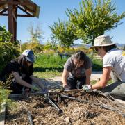 Students volunteering with Milk and Honey Farm