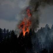 wildfire in Colorado