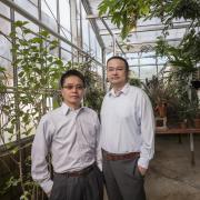 Ronggui Yang and Xiaobo Yin in greenhouse