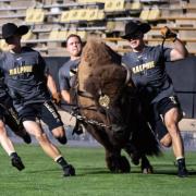 Scenes from the 2019 CU Kickoff at Folsom Field. (Photo by Glenn Asakawa/University of Colorado)