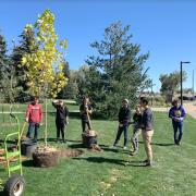 CU community members planting trees in observance of Arbor Day