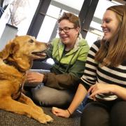 Music/neurosciences major Nate Nickrent, left, and  psychology/anthropology major Nicole Mattson love on therapy dog Shilo. Photo by Casey A. Cass.