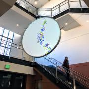 Lobby of the Jennie Smoly Caruthers Biotechnology Building. Photo by Patrick Campbell.