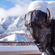 Snowy campus on Monday. Photo by Patrick Campbell.