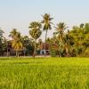 Rural Cambodia