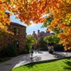 Campus community members walking on campus surrounded by fall colors