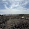a Kansas feedlot